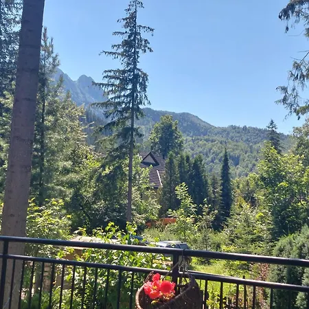 Dom Pod Skocznią Kwatera prywatna Zakopane